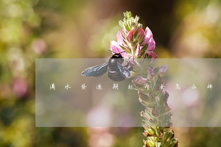 滴水贷逾期起诉会怎么样-滴水贷多久起诉