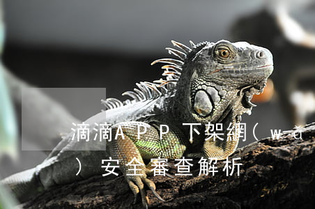 滴滴APP下架，網(wǎng)絡(luò)安全審查解析