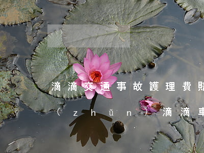滴滴交通事故護理費賠償標(biāo)準(zhǔn)(滴滴車禍誤工費賠償標(biāo)準(zhǔn))