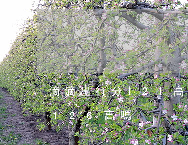 滴滴出行分121高嗎(滴滴服務(wù)分126高嗎)