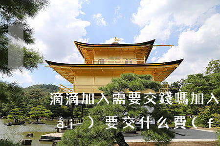 滴滴加入需要交錢嗎(加入滴滴打車平臺(tái)要交什么費(fèi)用)