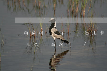 滴滴司機(jī)信用卡逾期會(huì)怎么樣(滴滴司機(jī)信用卡逾期會(huì)怎么樣)