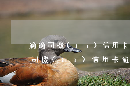 滴滴司機(jī)信用卡逾期會怎么樣(滴滴司機(jī)信用卡逾期會怎么樣)