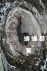 滴滴司機(jī)強(qiáng)奸女乘客