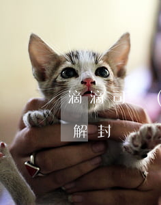滴滴司機(jī)被封號(滴滴司機(jī)解封)