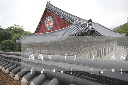 滴滴司機(jī)讓乘客開車出車禍誰來擔(dān)責(zé)（滴滴司機(jī)）