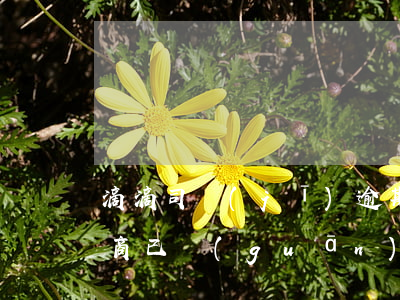 滴滴司機(jī)逾期未處理協(xié)商已關(guān)閉-滴滴司機(jī)違約沒有來接我怎么懲罰司機(jī)