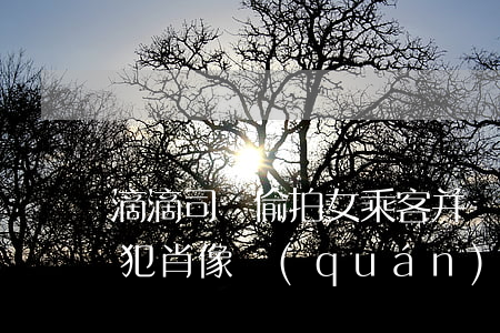 滴滴司機偷拍女乘客并發(fā)微信群,侵犯肖像權(quán)怎么處罰