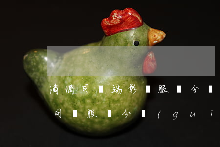 滴滴司機端影響服務分兩項是扣多少分(滴滴司機服務分規(guī)則)