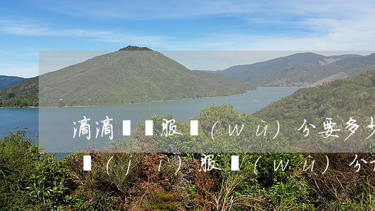 滴滴專車服務(wù)分要多少(滴滴快車司機(jī)服務(wù)分最高多少)