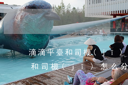 滴滴平臺和司機(jī)怎么分錢(滴滴平臺和司機(jī)怎么分錢)