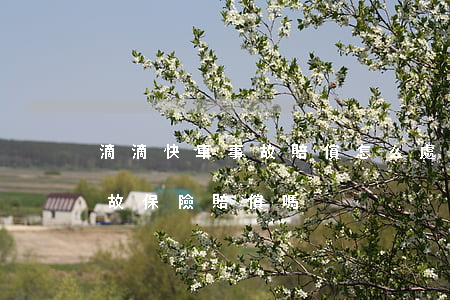 滴滴快車事故賠償怎么處理(滴滴出了交通事故保險賠償嗎) 滴滴快車事故賠償怎么處理(滴滴出了交通事故保險賠償嗎)
