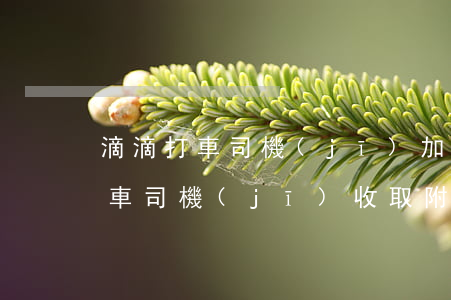 滴滴打車司機(jī)加錢怎么處罰(滴滴打車司機(jī)收取附加費(fèi),怎么投訴)