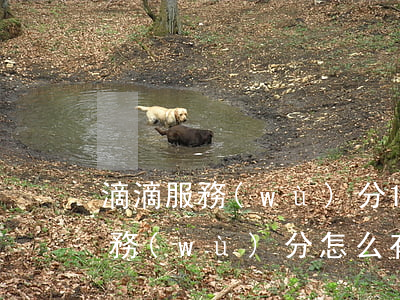滴滴服務(wù)分126分算高嗎(滴滴服務(wù)分怎么有105分)