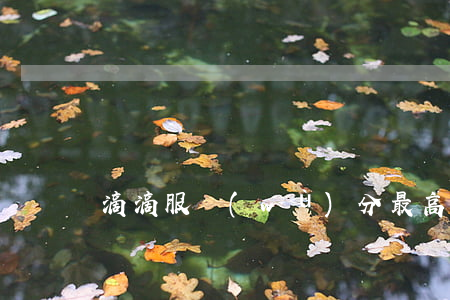 滴滴服務(wù)分最高是多少
