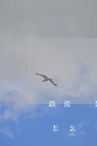 滴滴貸款逾期怎么辦理信用卡(滴滴貸款逾期怎么辦理信用卡)