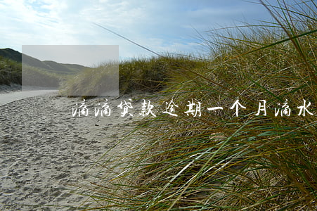 滴滴贷款逾期一个月(滴水贷逾期一天会咋样)