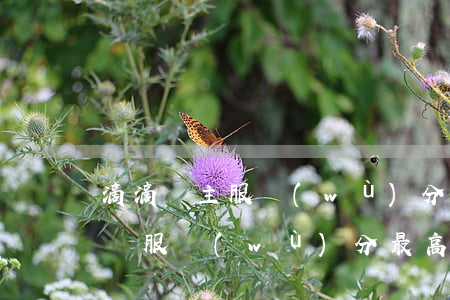 滴滴車主服務(wù)分最高是多少(滴滴快車服務(wù)分最高是多少)