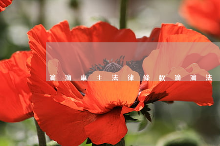 滴滴車主法律條款(滴滴法律條款及隱私政策)