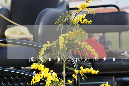 滴滴車殺人犯欠很多網(wǎng)貸(殺滴滴司機案)