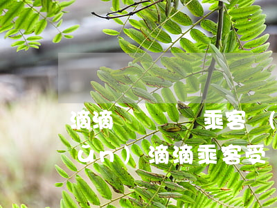 滴滴車禍賠償乘客標(biāo)準(zhǔn)(滴滴乘客受傷索賠)