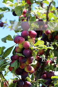 滴滴过了几天付款有影响吗（滴滴月付逾期一天还能用吗）