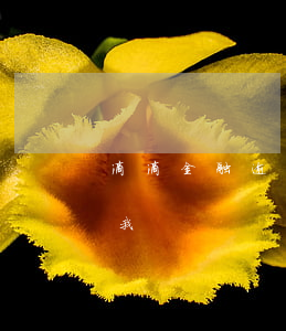 滴滴金融逾期了法院受理嗎(滴滴金融要起訴我)