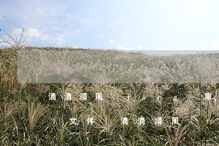 滴滴順風(fēng)車法律法規(guī)文件(滴滴順風(fēng)車法律依據(jù))