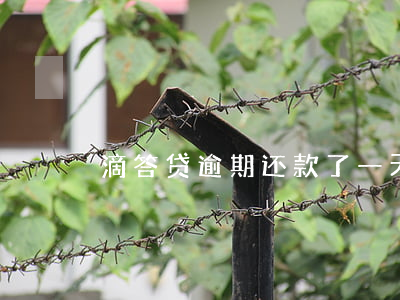 滴答贷逾期还款了一天(滴滴水滴贷逾期两天)