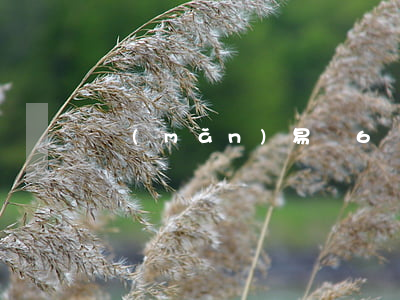 滿(mǎn)易貸6萬(wàn)逾期被起訴