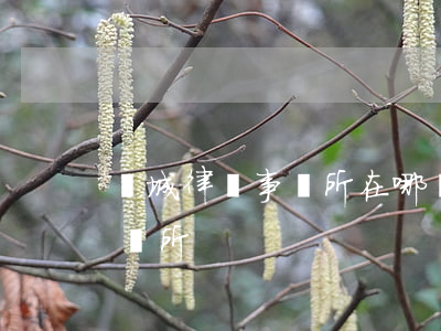 滿城律師事務所在哪(滿城區(qū)律師事務所)