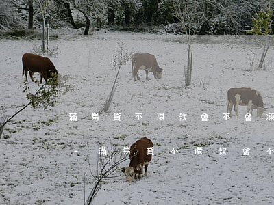 滿易貸不還款會不會凍結(jié)銀行卡-滿易貸不還款會不會凍結(jié)銀行卡呢