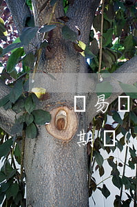 滿易貸逾期同意協(xié)商嗎（好易貸逾期協(xié)商還款）