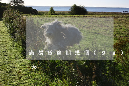 滿易貸逾期幾個(gè)月起訴(易貸逾期一天)