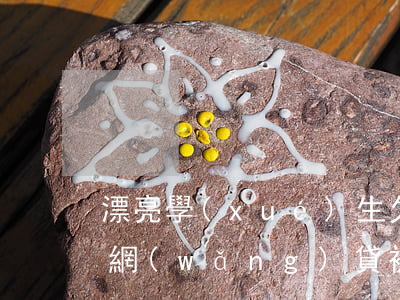 漂亮學(xué)生欠網(wǎng)貸(欠網(wǎng)貸被曝光的女孩)