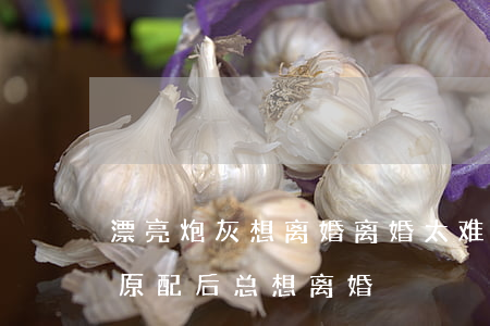 漂亮炮灰想离婚(离婚,太难了(原名:穿成炮灰原配后总想离婚))