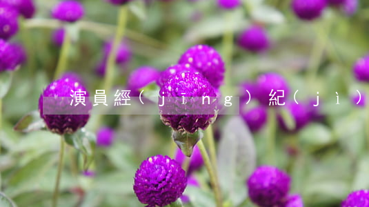 演員經(jīng)紀(jì)合同