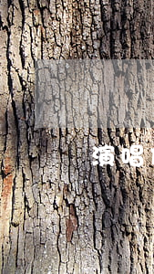 演唱他人歌曲是否侵犯著作權(quán)