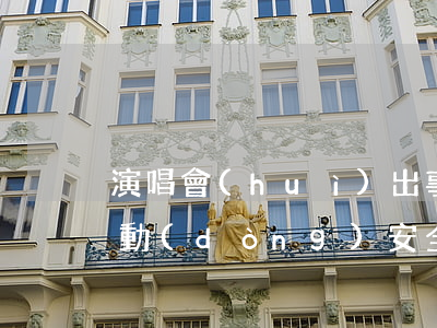演唱會(huì)出事故算不算大型群眾活動(dòng)安全事故