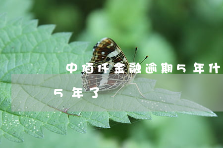漢中佰仟金融逾期5年什么后果(佰仟金融欠5年了)