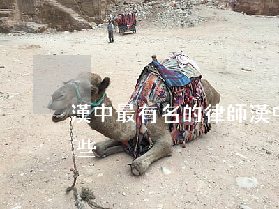 漢中最有名的律師(漢中市最有名的律師有哪些)