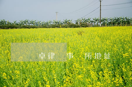 漢卓律師事務所地址(廣東漢基律師事務所)