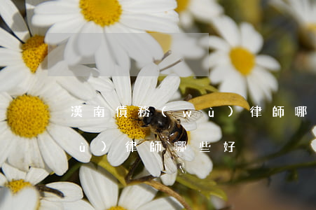 漢南債務(wù)律師哪些好(漢南債務(wù)律師哪些好)