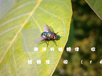漢南涉外婚姻律師收費(fèi)(漢南涉外婚姻律師收費(fèi))