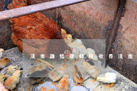漢南離婚律師所收費(漢南離婚律師所收費)