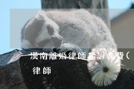 漢南離婚律師起訴收費(fèi)(湖北離婚律師)