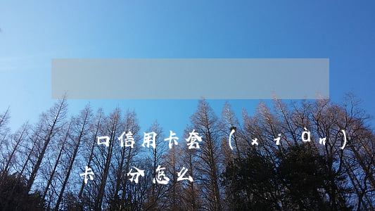 漢口信用卡套現(xiàn)(漢口銀行信用卡積分怎么兌換)