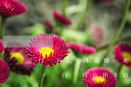 漢口銀行信用卡逾期一天會(huì)怎么樣-漢口銀行信用卡逾期一天會(huì)怎么樣嗎