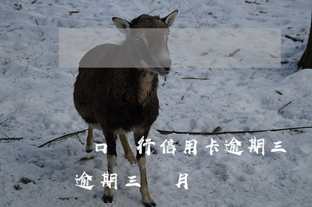 漢口銀行信用卡逾期三個月(漢口銀行信用卡逾期三個月)