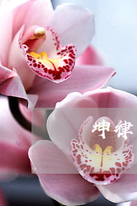 漢坤律師事務(wù)所是紅圈嗎